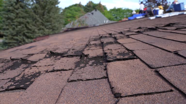 Best Emergency Roof Repair Services  in Adrian, MN